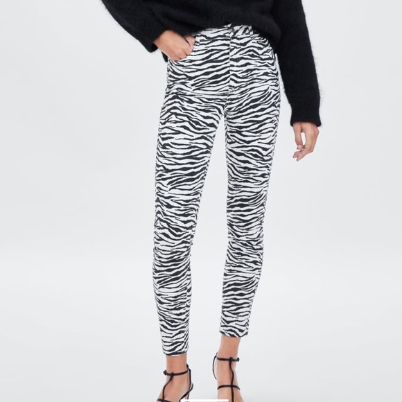 zara zebra pants